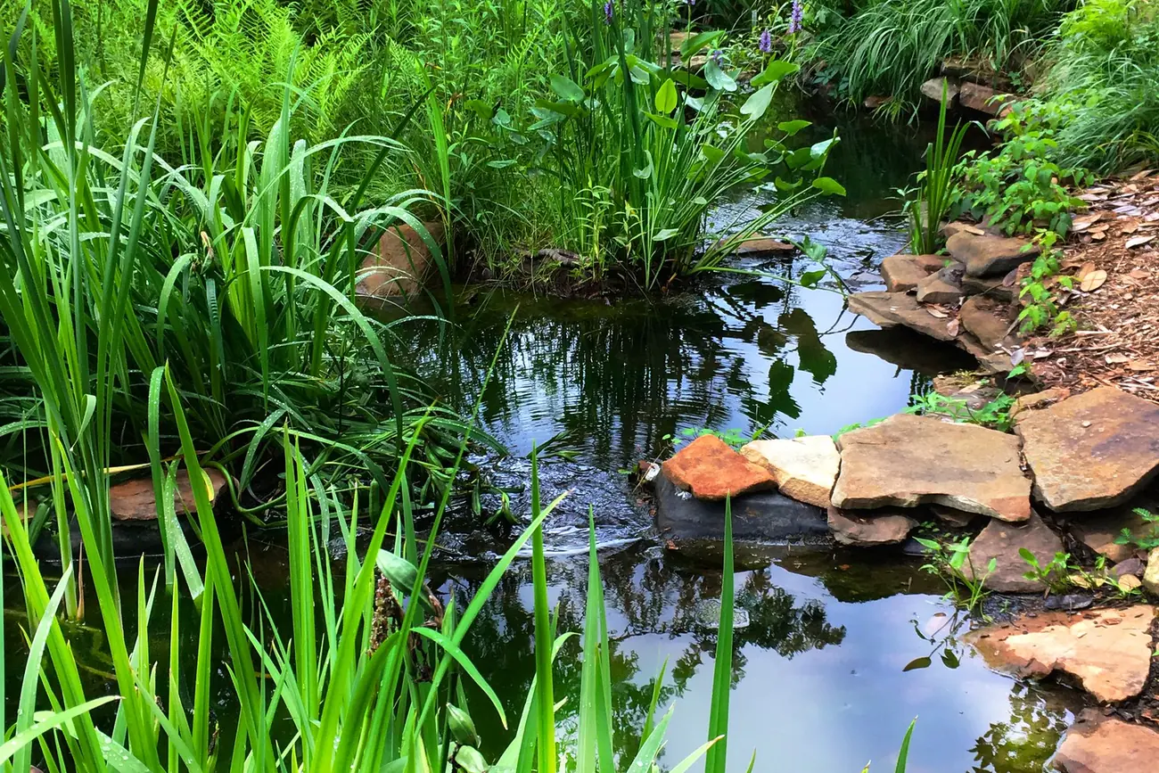 A stream winds between rocks and grasses at Aldridge Gardens in Hoover.